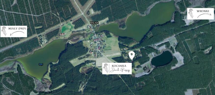 Domek W Puszczy ,,Kocanka" Mezyk Ngoại thất bức ảnh